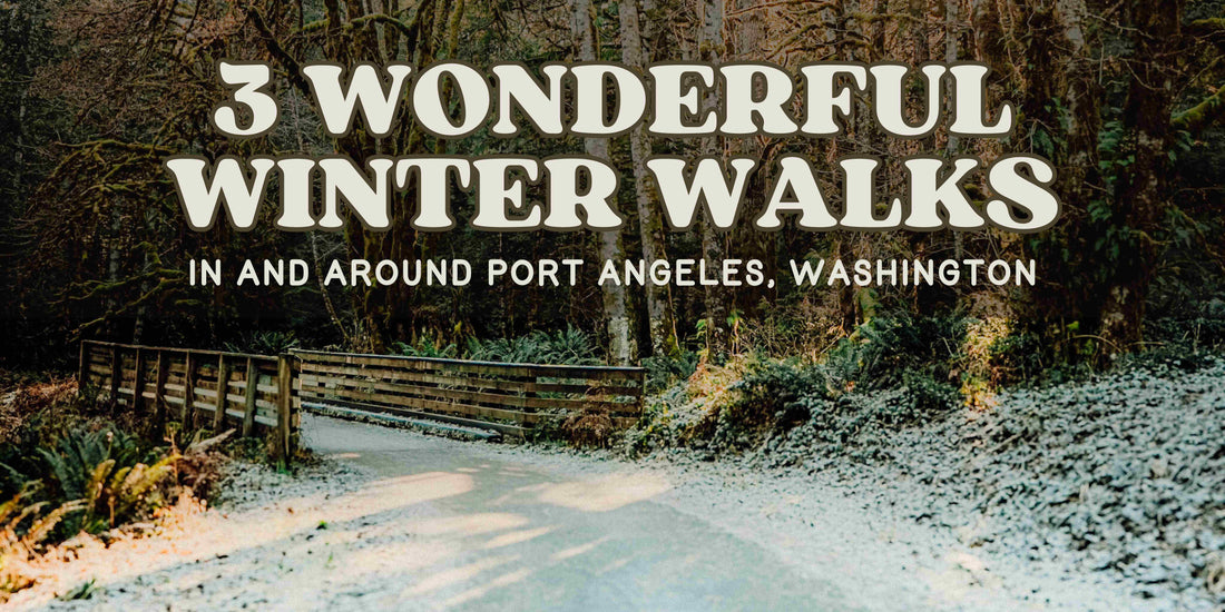 3 WONDERFUL WINTER WALKS in and around Port Angeles, WA