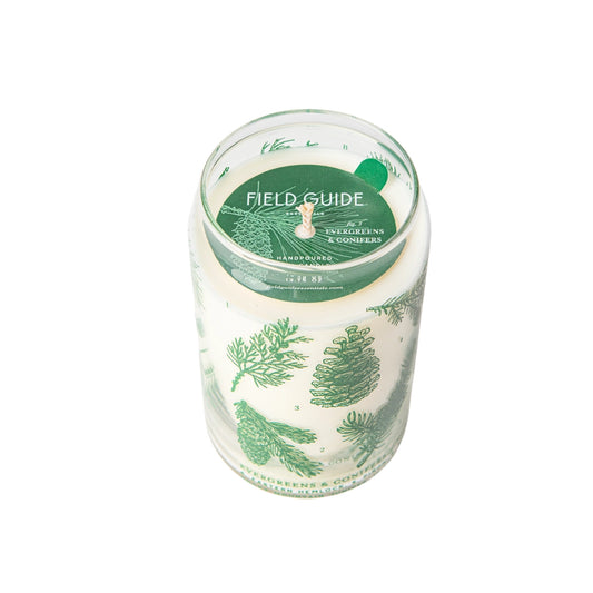 EVERGREENS & CONIFERS soy candle