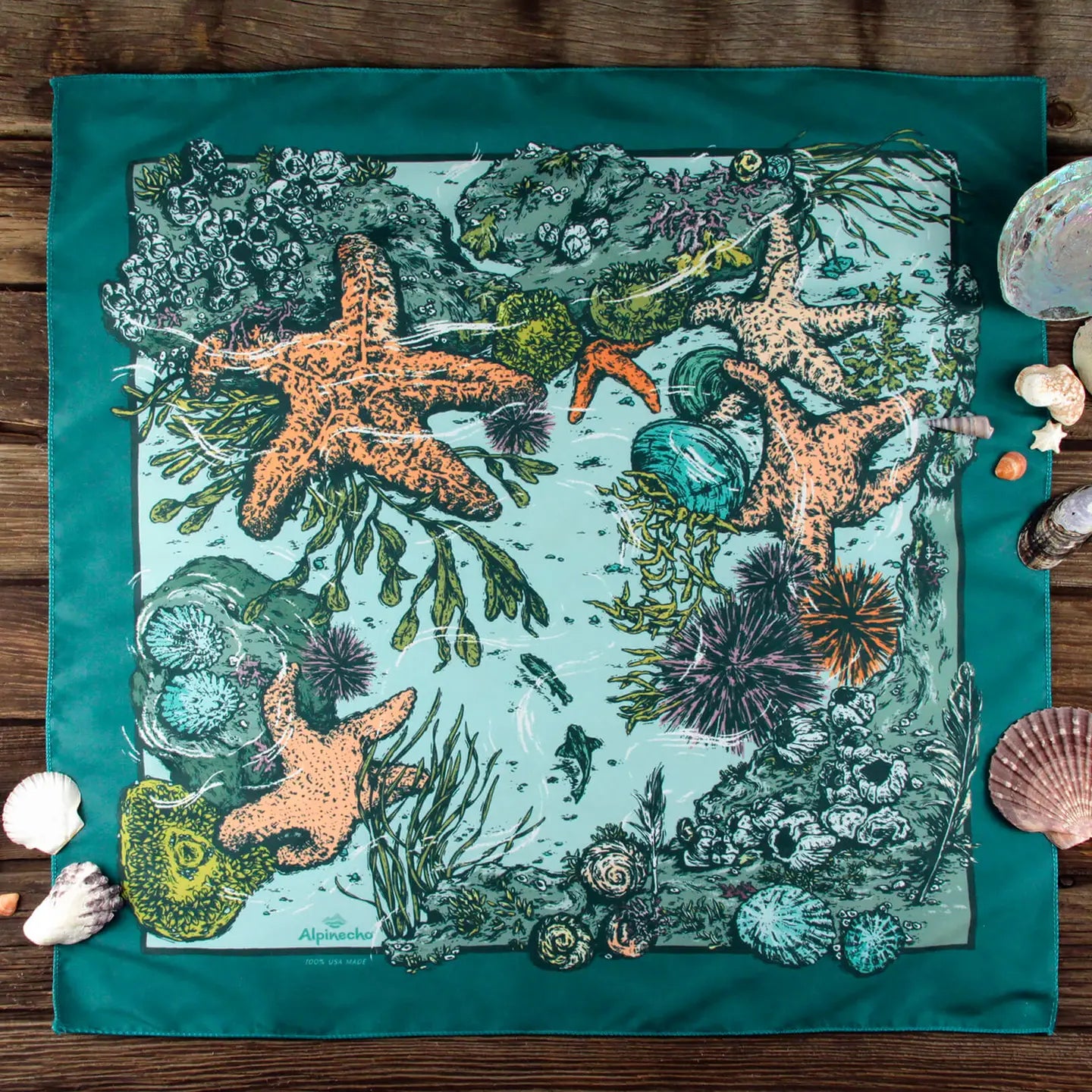 TIDE POOL quick-dry bandana