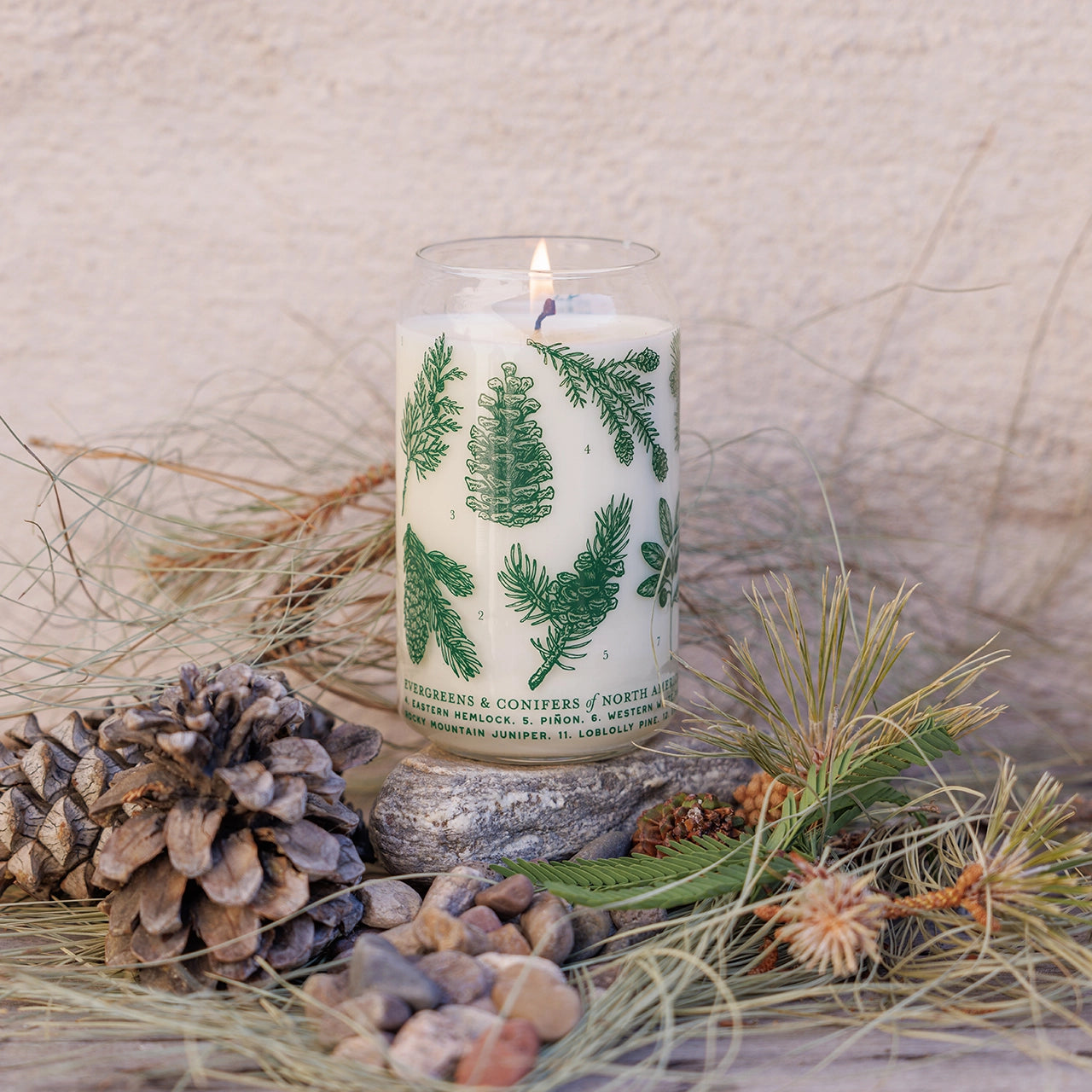 EVERGREENS & CONIFERS soy candle