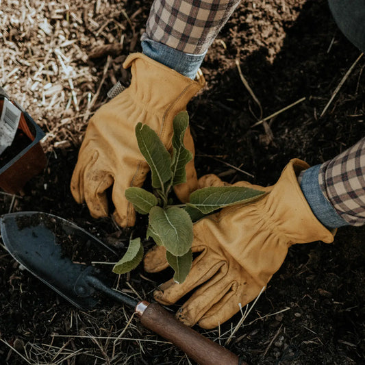 CLASSIC COWHIDE work gloves